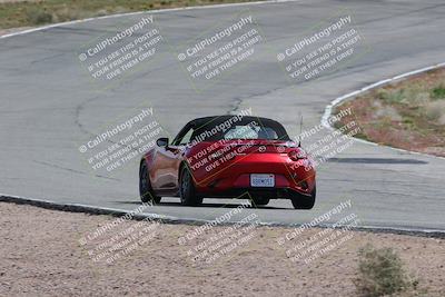 media/Mar-04-2023-West Coast Racing (Sat) [[a3f8e4c156]]/Green/Back Shots/